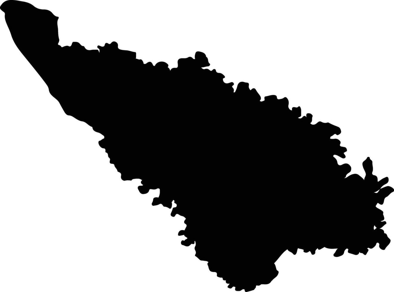 Tomas Romero Pereira Paraguay silhouette map vector
