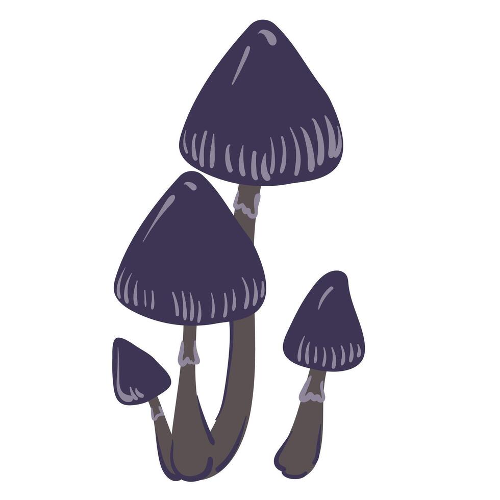 Poisonous mushrooms , toadstool, inedible toxic mushroom, fly agaric, white toadstool. Isolated hand drawn doodle illustration on a white background. Potion ingredient, Magic, Halloween vector