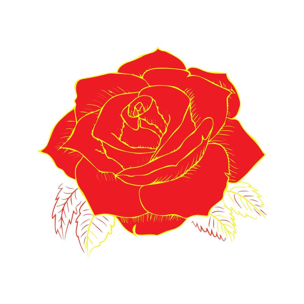 Fresh beautiful rose isolated on white background vector