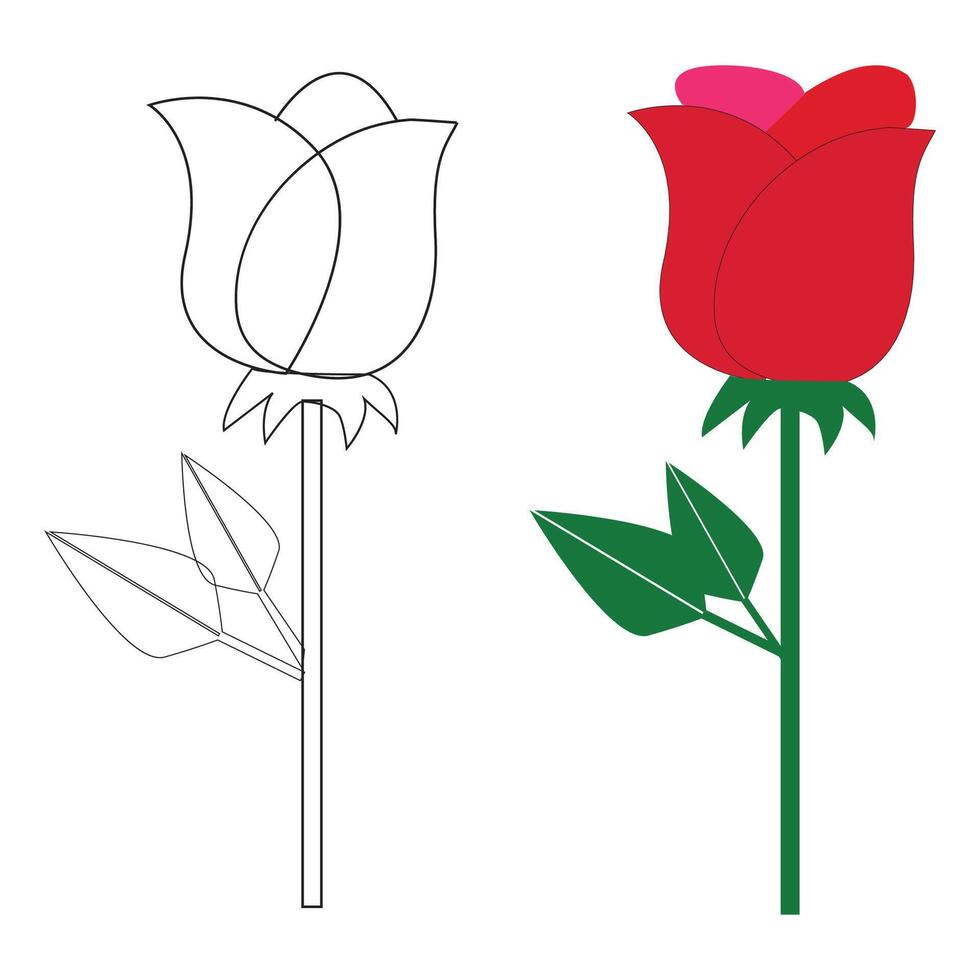 Single beautiful red rose isolated on white background vector