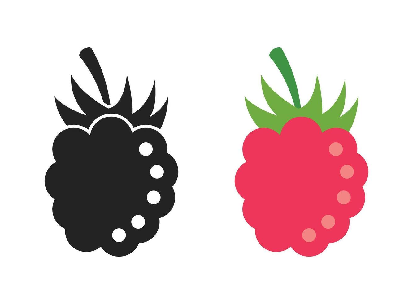 Blackberry and raspberry fruit icons illustration vector