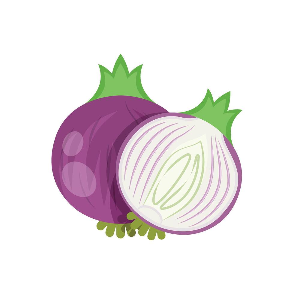 Two purple onions on a white background vector