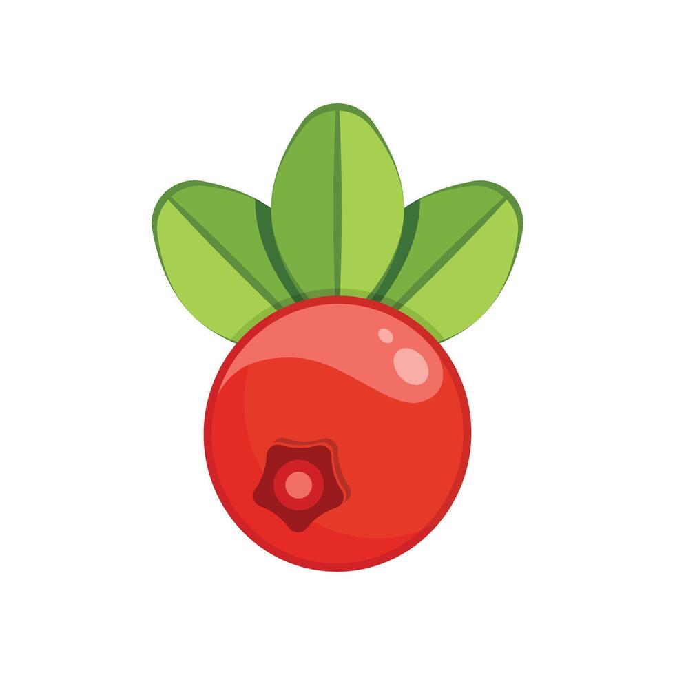 Red cranberry fruit with green leaves icon illustration on white background vector