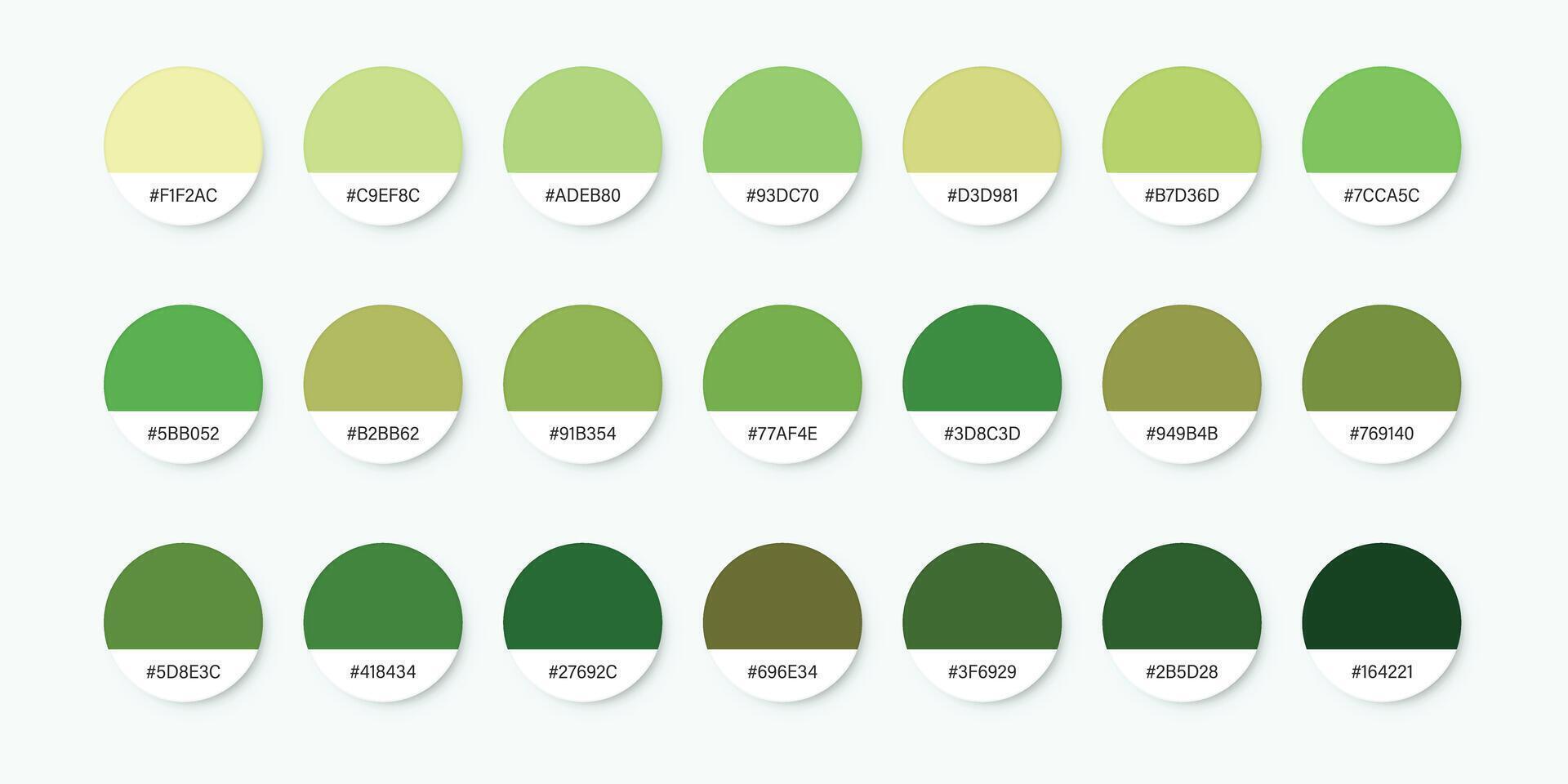 A set of green and white color swatches vector