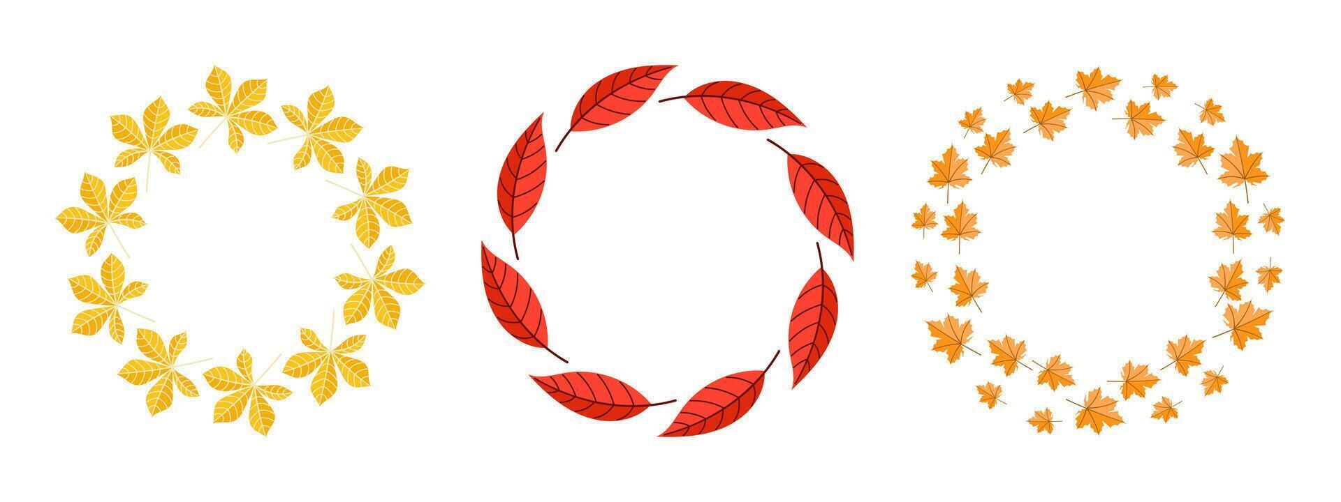 Explore our stunning collection of decorative wreaths inspired by the beauty of autumn leaves vector