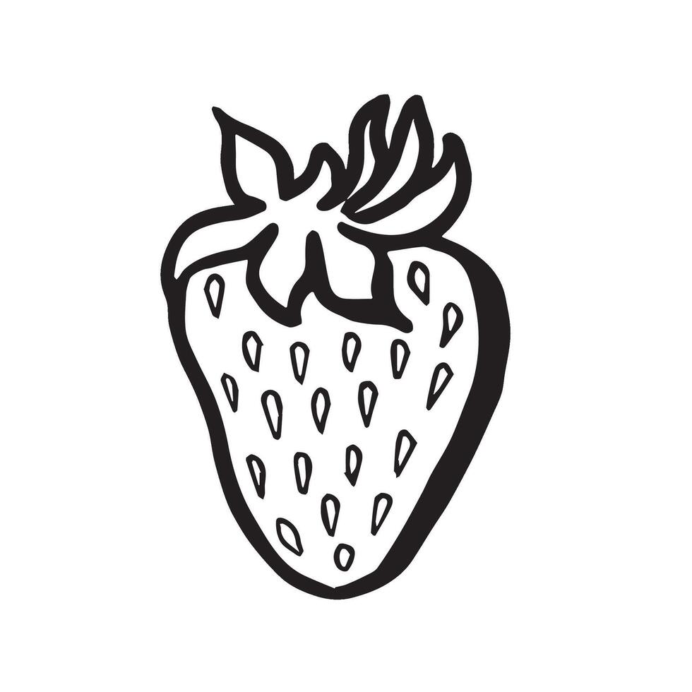 Strawberry hand drawn isolated illustration for food product desing. Fresh garden berries black and white sketch, organic healthy food. Summer fruit in line art style for cosmetic and textile. vector