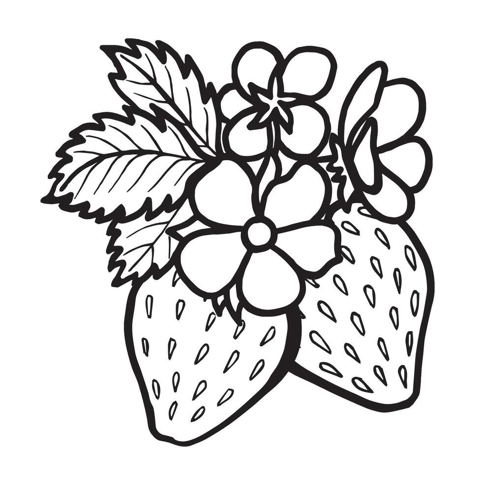 Strawberry with leaves and flowers hand drawn isolated illustration for food product desing. Fresh garden berries black and white sketch, organic healthy food. Summer fruit in line art style. vector