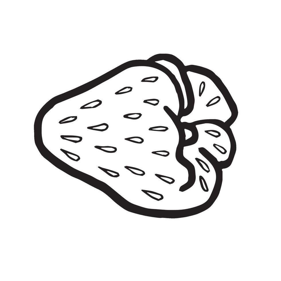 Strawberry hand drawn isolated illustration for food product desing. Fresh garden berries black and white sketch, organic food. Summer fruit in line art style for cosmetic and textile. vector