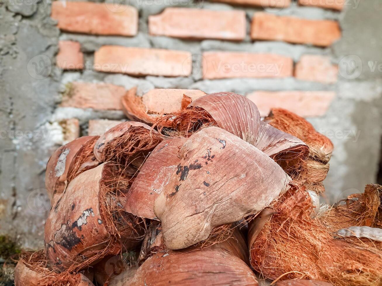 Close Up of Dry Coconut Husk Pile for Fuel and Craft Use photo