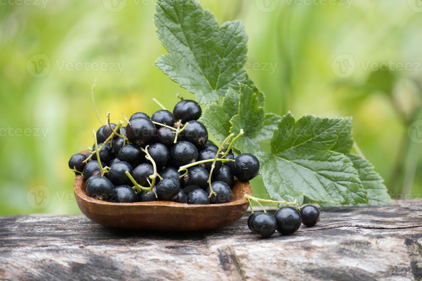 Bowl of black currants on wood photo