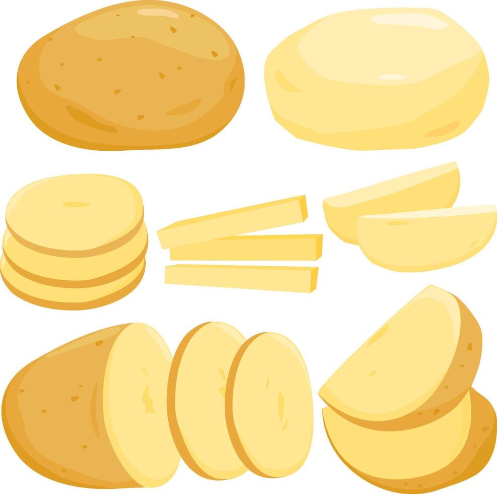 Various potatoes in different cuts and shapes vector