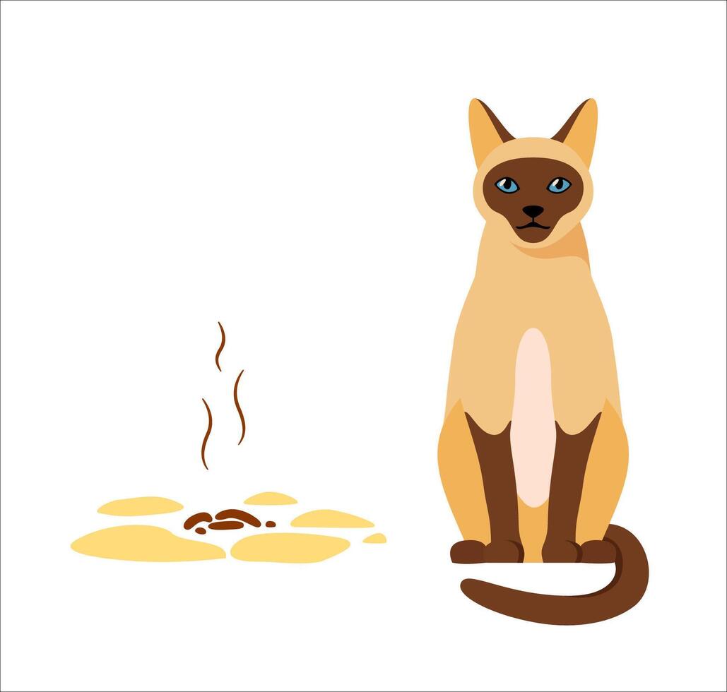 Siamese cat sitting near its poop. Badly behaved pet going to toilet on floor. Pet toilet hygiene concept. Bad smell. Flat style vector