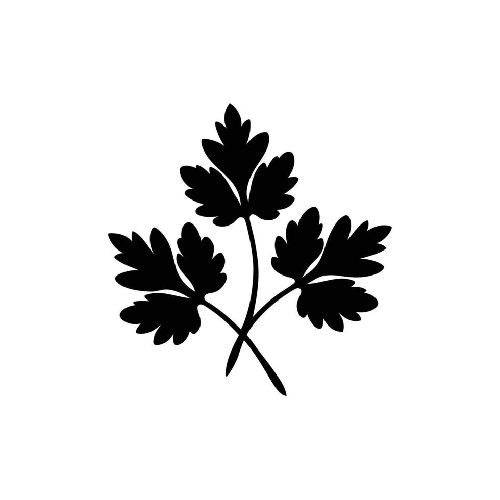 Black and White Parsley Herb Icon Silhouette vector