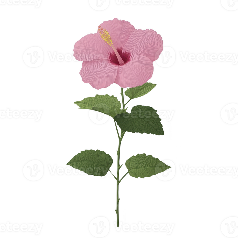 Pink hibiscus flower with green leaves on stem, showcasing its delicate petals and vibrant color. flower is isolated on transparency background, highlighting its natural beauty png
