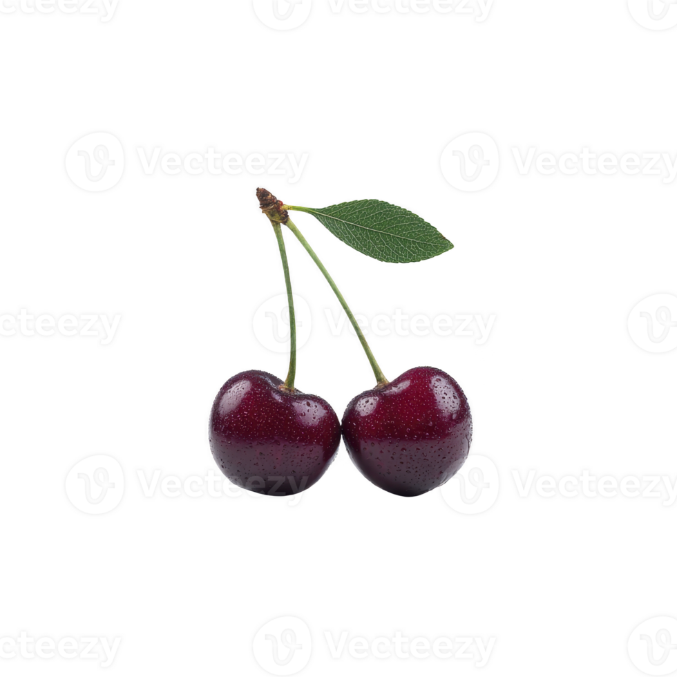 Two fresh cherries with green leaf and water droplets on transparency background, showcasing their vibrant red color and juicy texture png