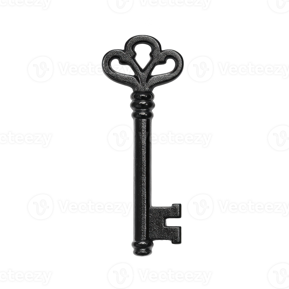 Ornate vintage key with intricate bow design, symbolizing mystery and history. metallic finish adds touch of elegance, making it ideal for themes of secrets or unlocking potential png