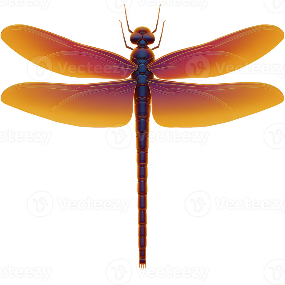 Vibrant dragonfly with gradient wings in shades of orange and purple is depicted in detailed illustration. insect delicate wings and elongated body are highlighted against transparent background png