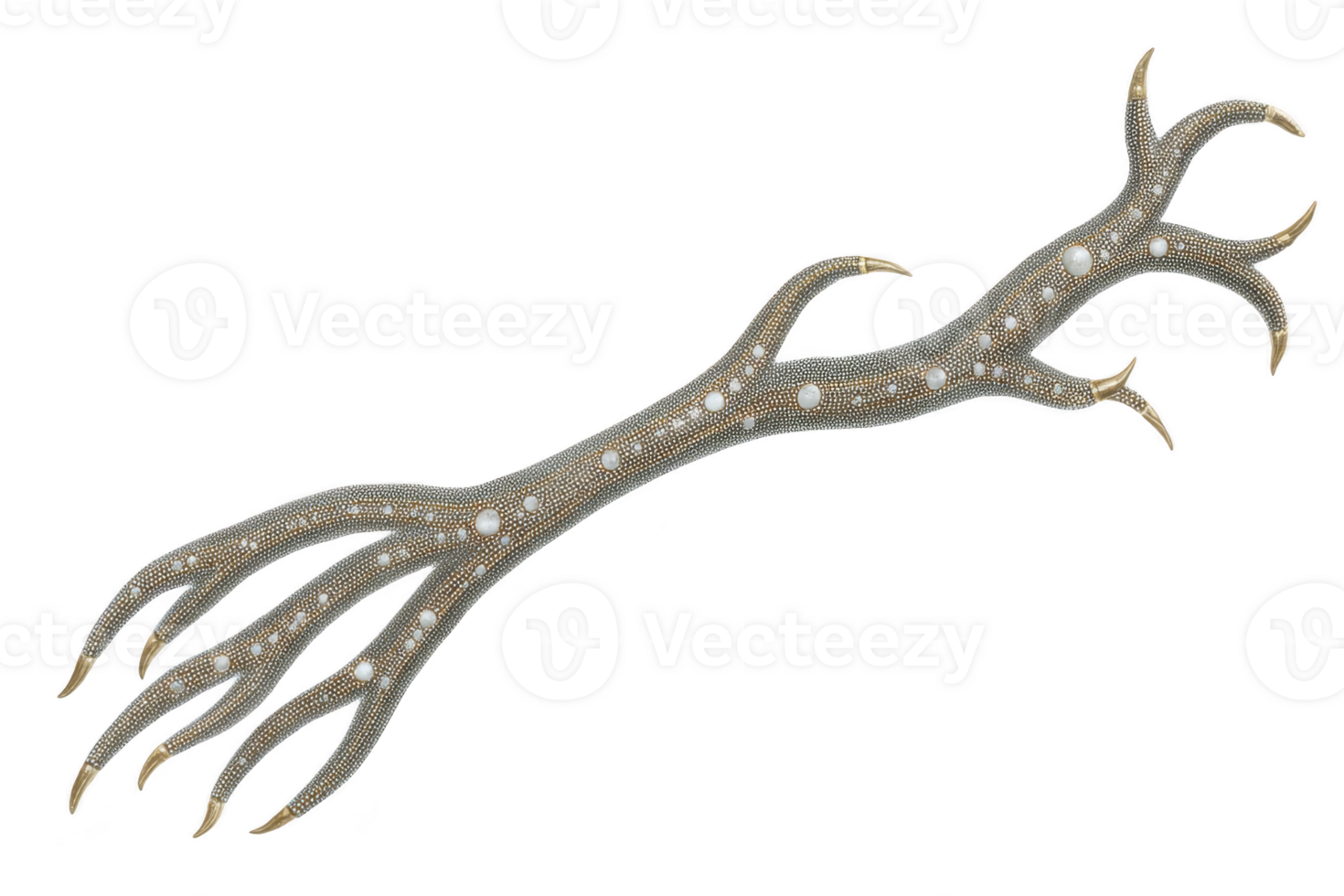 Decorative branch with intricate patterns and pearl like embellishments, featuring metallic finish and elegant curves, creating luxurious and artistic appearance png