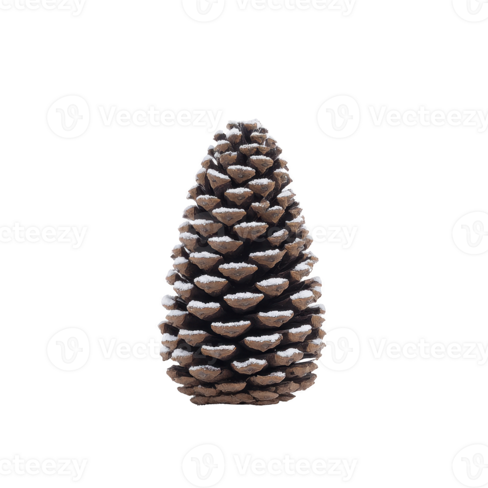 Pine cone dusted with snow stands against plain background, showcasing its natural texture and wintery appearance. snow adds festive touch, making it ideal for seasonal decor png