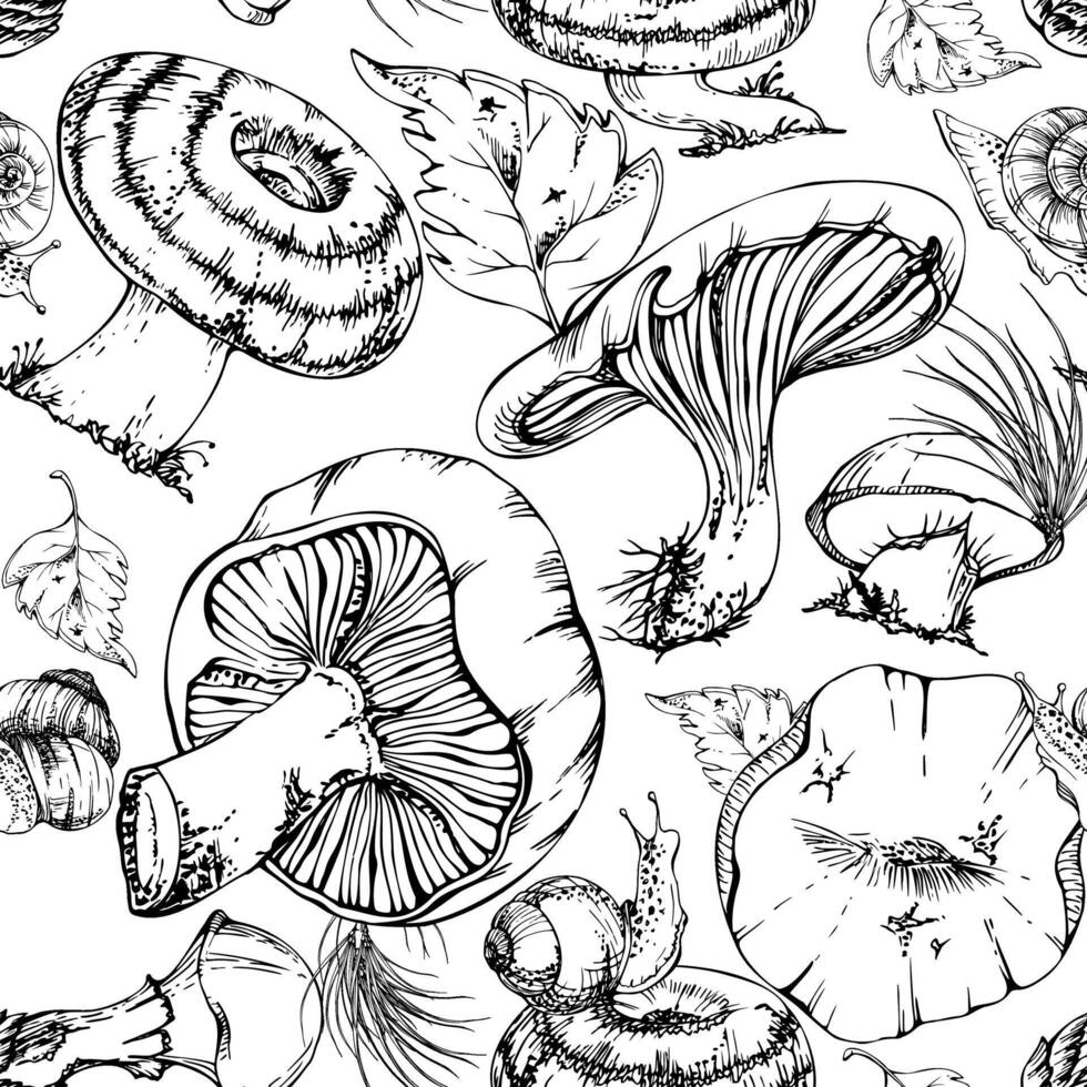 Bolete cep russula suillus mushroom fungi with autumn leaves pine needles snails, forest harvest. Seamless pattern hand drawn in ink. Scrapbooking decoupage origami, farmers market wrapping vector