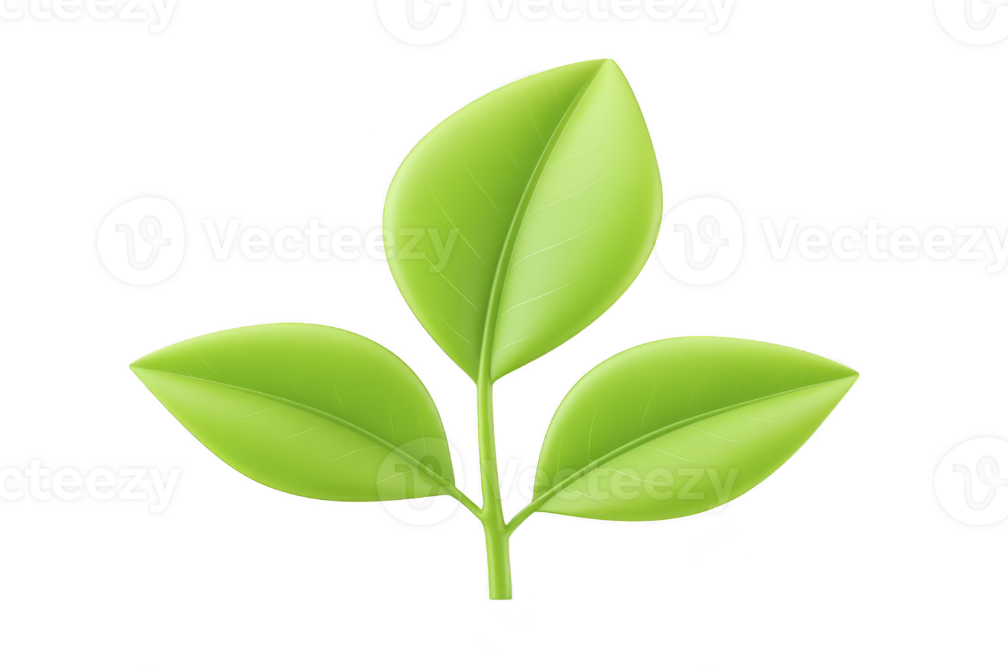 Vibrant green plant with three leaves symbolizes growth and nature. leaves are smooth and glossy, representing freshness and vitality png