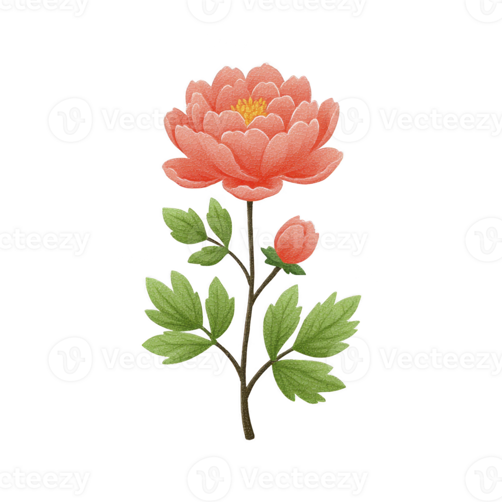 Vibrant illustration of blooming orange peony with lush green leaves, showcasing intricate details and delicate design. flower exudes elegance and natural beauty png