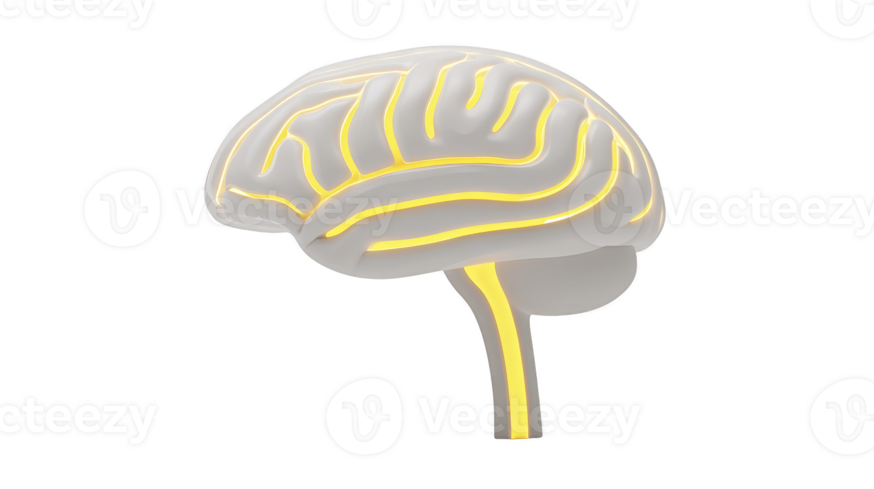 3D illustration of human brain with glowing yellow lines highlights neural pathways, symbolizing intelligence and creativity. transparency background emphasizes brain structure png