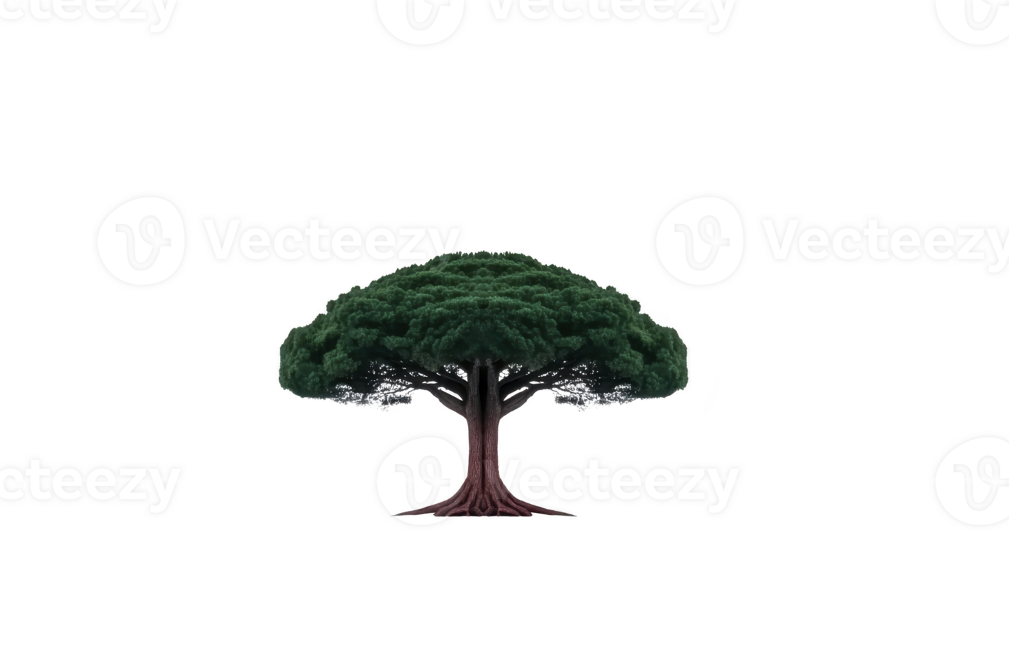 Large, lush tree with thick trunk and expansive green canopy stands alone against transparent background, symbolizing nature and growth png