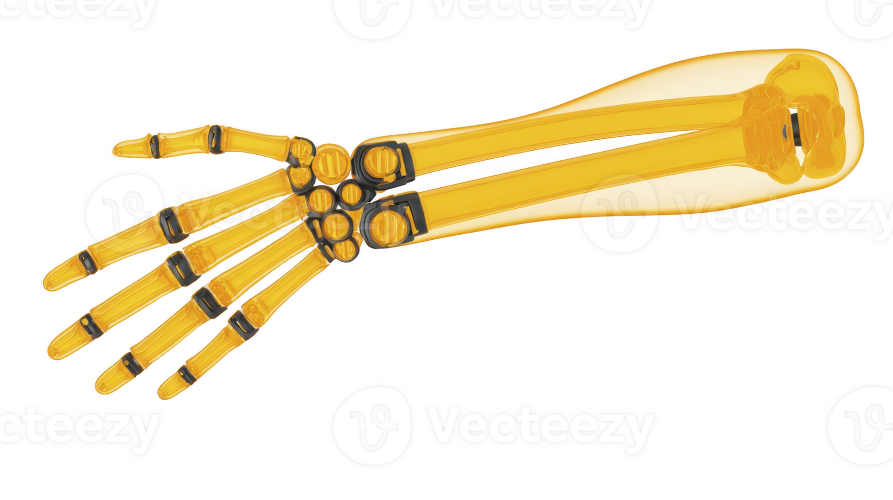 Digital illustration of human hand and forearm skeleton in transparent yellow style, showcasing bones and joints in detailed and educational manner png