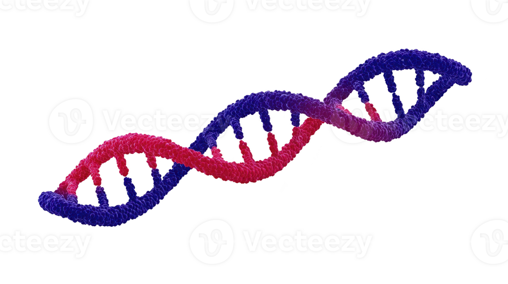 Colorful 3D illustration of DNA double helix, showcasing gradient from red to blue, symbolizing genetic research and biotechnology. vibrant colors highlight structure complexity png
