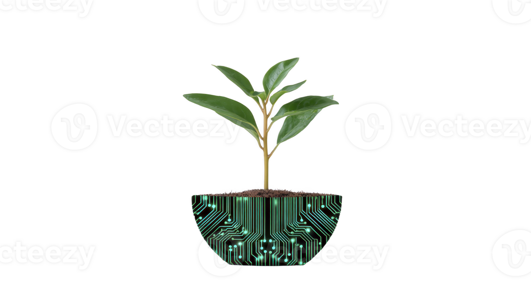Small plant with green leaves grows from pot designed with circuit board pattern, symbolizing fusion of nature and technology png