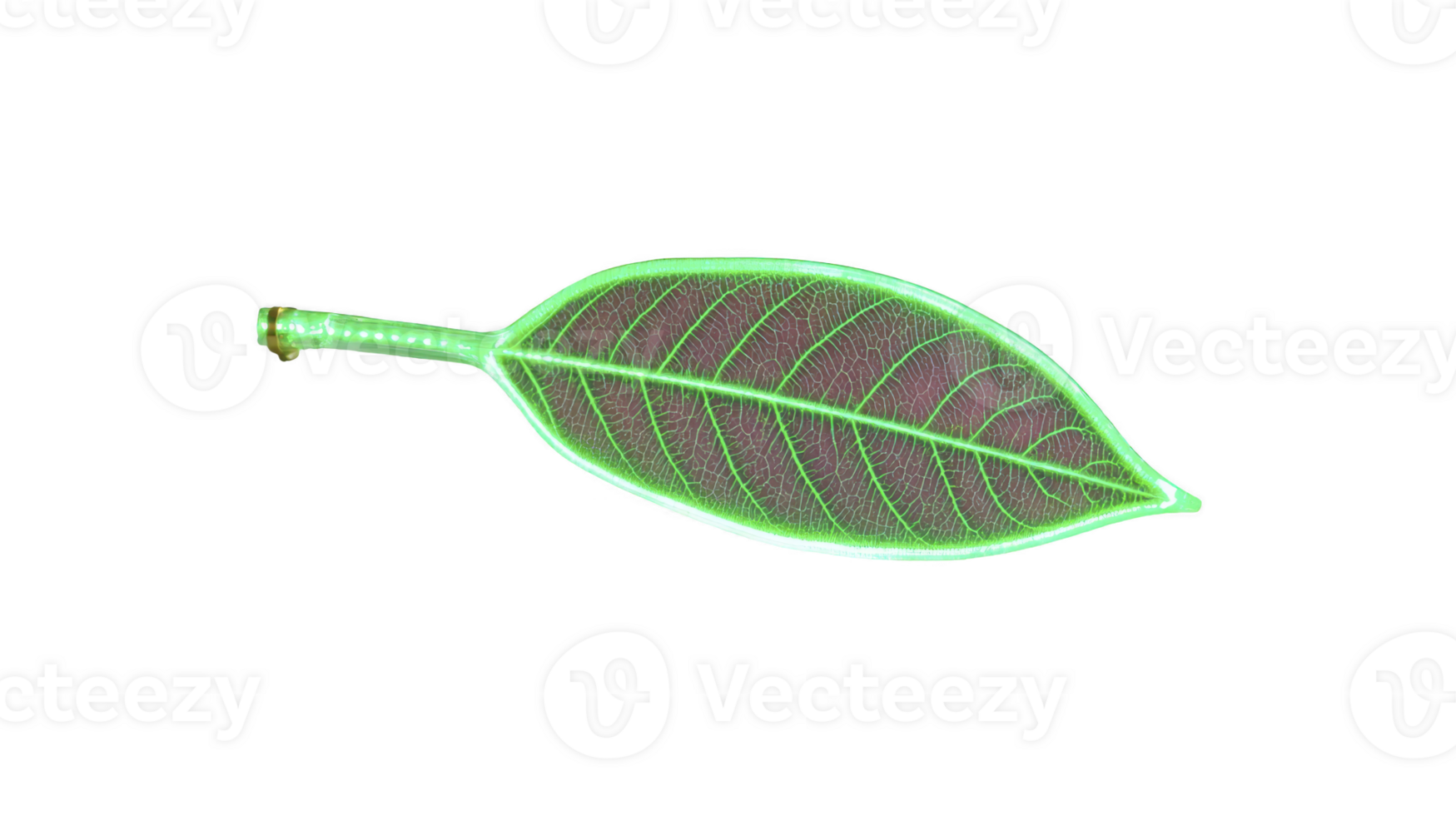 Single green leaf with visible veins and glowing outline creates vibrant and striking visual effect. leaf intricate vein pattern is highlighted, adding sense of natural beauty png