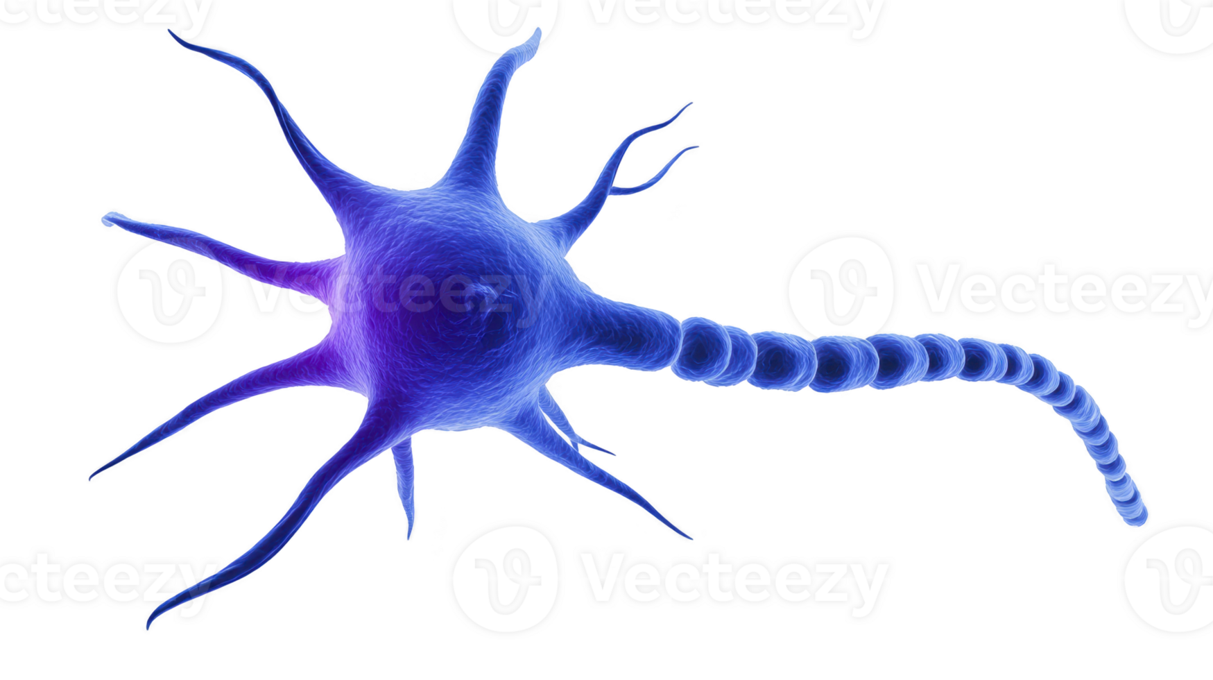 Detailed 3D illustration of neuron cell with glowing blue and purple body, showcasing its complex structure including dendrites and axon. image highlights intricate design of neural cells png