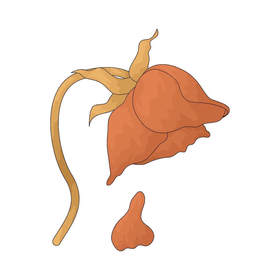 Illustration of Wilted Flower vector