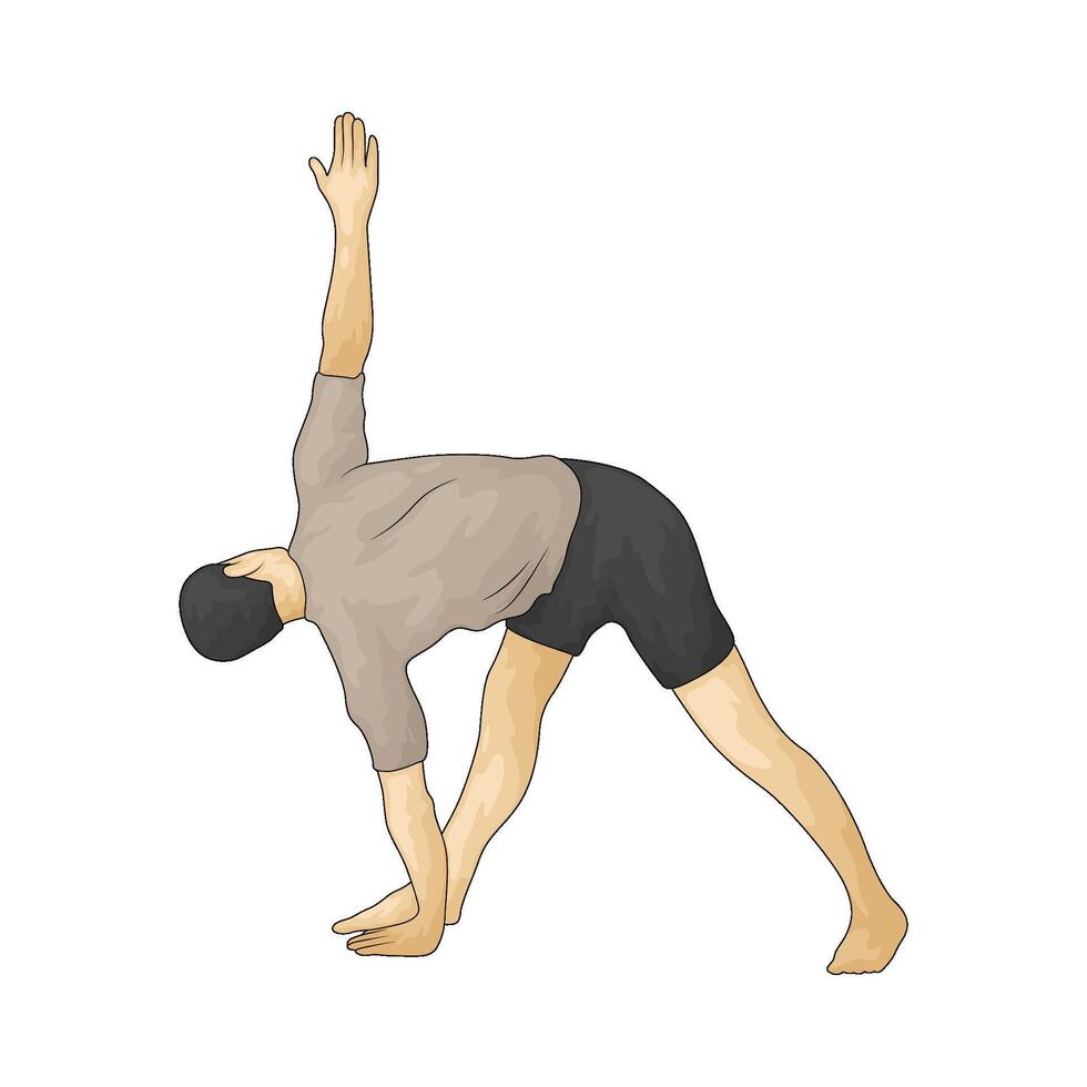 Yoga triangle pose vector