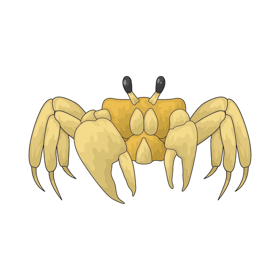 illustration of cute crab vector
