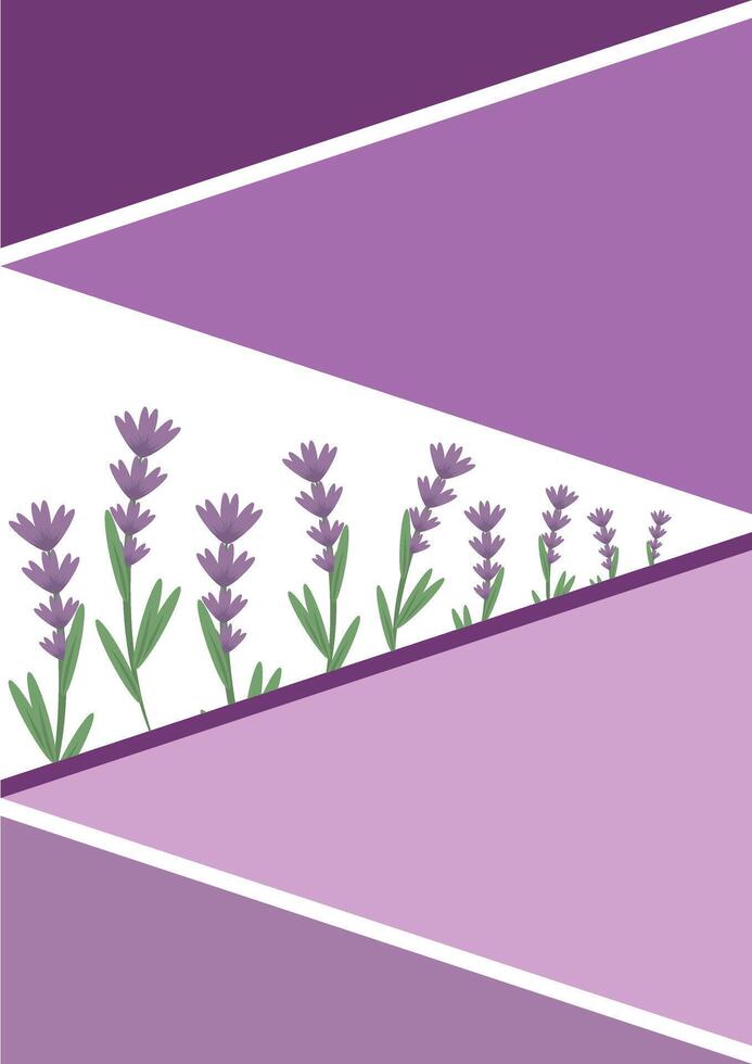 Lavender flowers on a purple background with a white border vector
