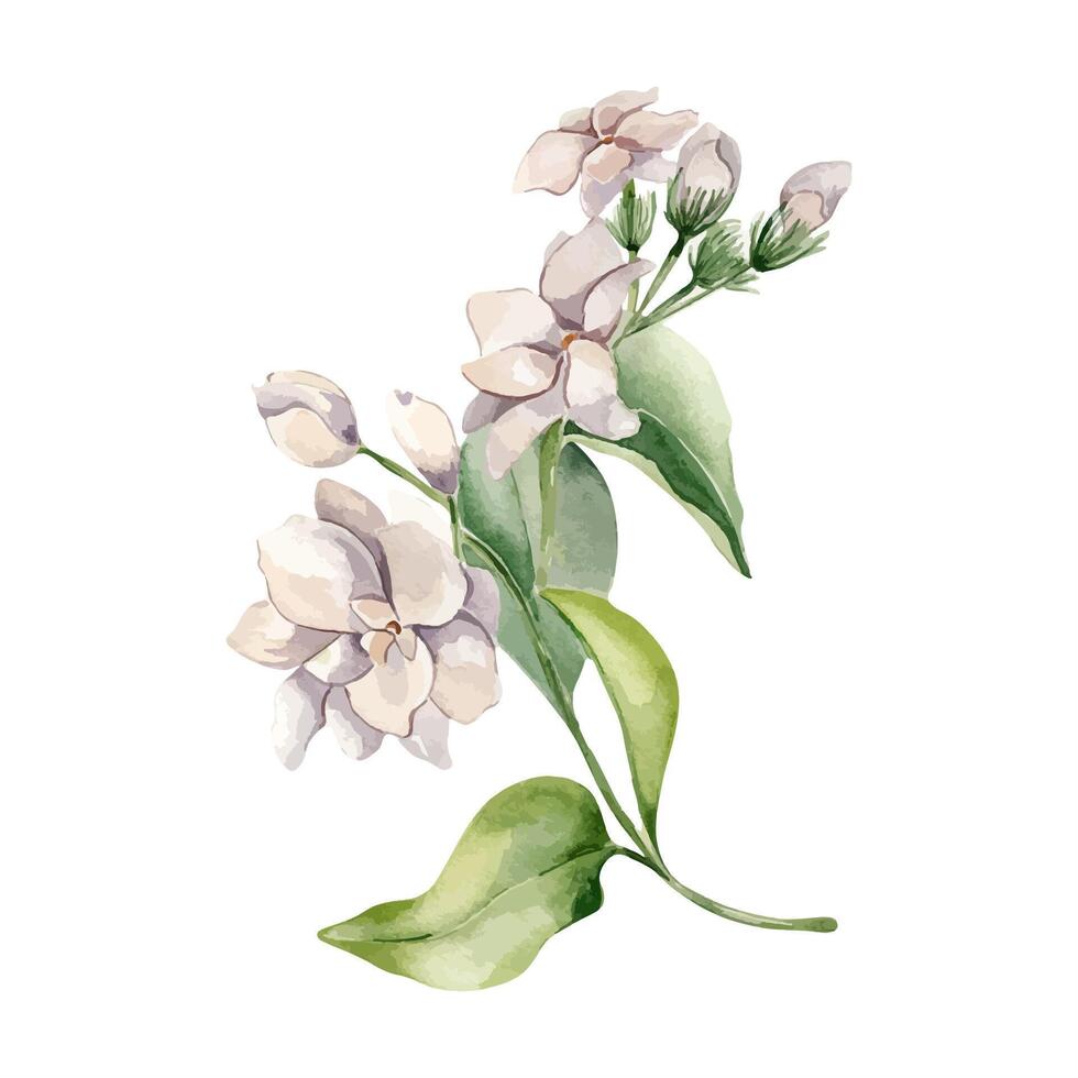 Watercolor flower illustration with leaves vector