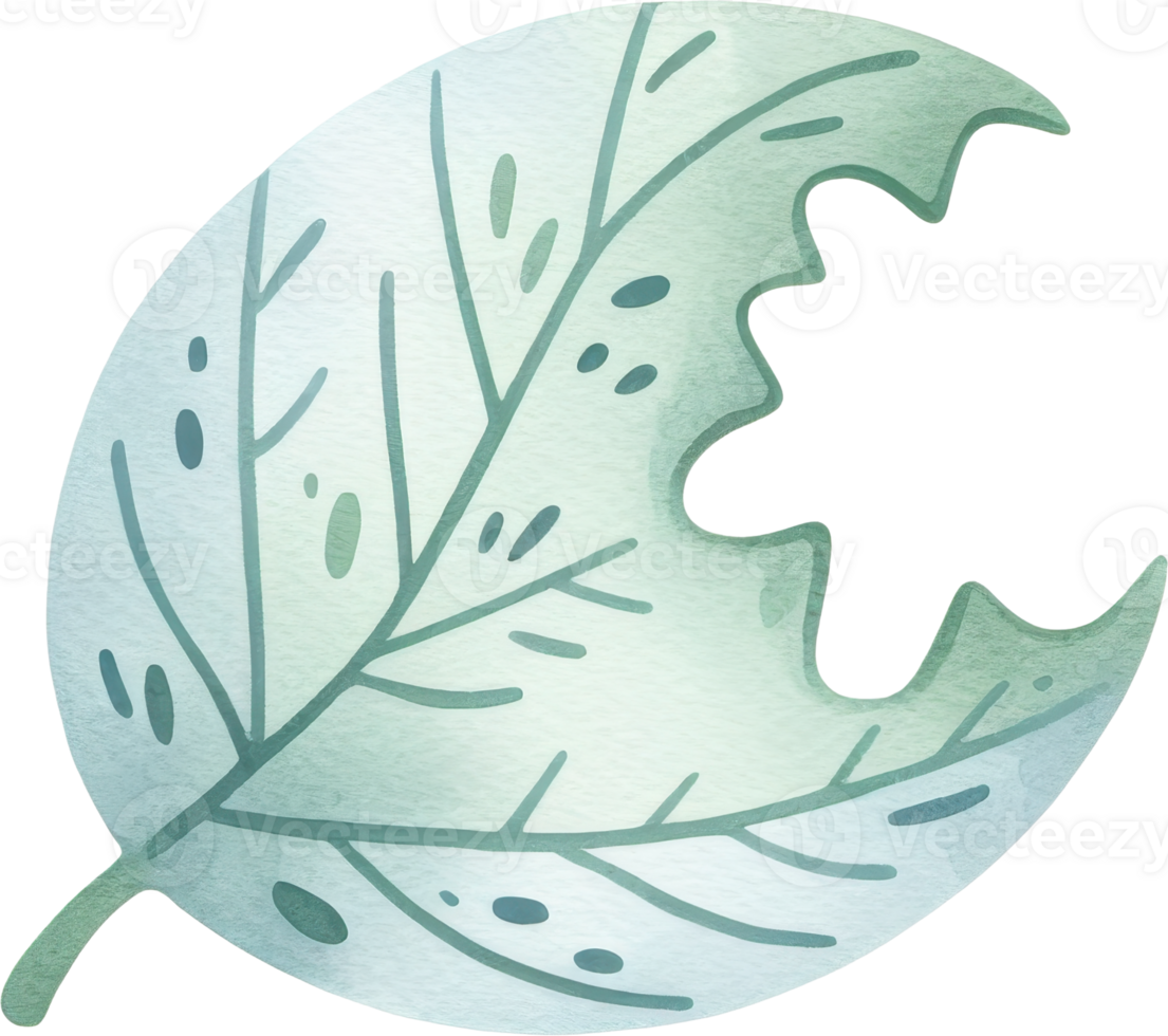 Delicate leaf texture and pattern png