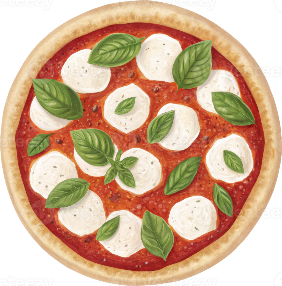 Margherita Pizza with Fresh Basil and Mozzarella png
