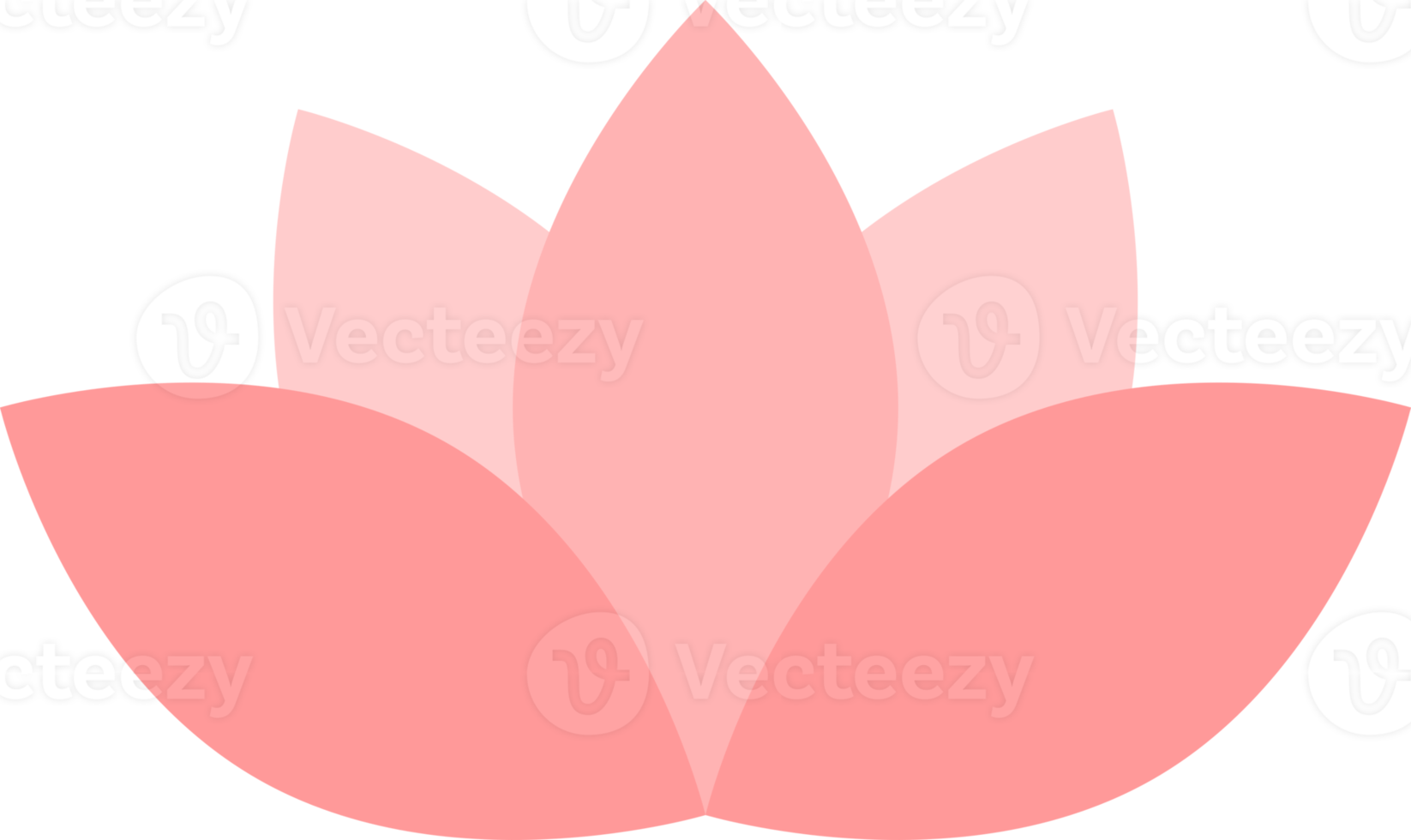 Pink lotus blossom flower png