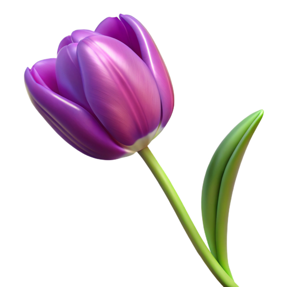 stunning exemplary Single purple tulip with variegatepetals, long stem, studio lighting, top-down view, isolateon transparent background,high-resolution product photography png