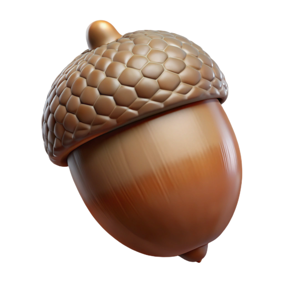 dramatic calm victorian Single acorn with texturecap anglossy nut, studio lighting, icon style, isolateon transparent background,high-resolution product photography studio quality png