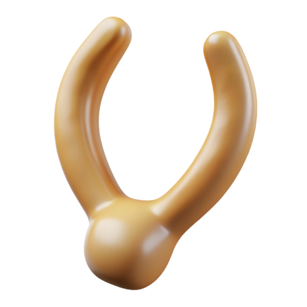 striking passionate coastal Turkey wishbone, clean, dry, studio lighting, front view, matte finish, isolateon transparent background,high-resolution product photography high quality png