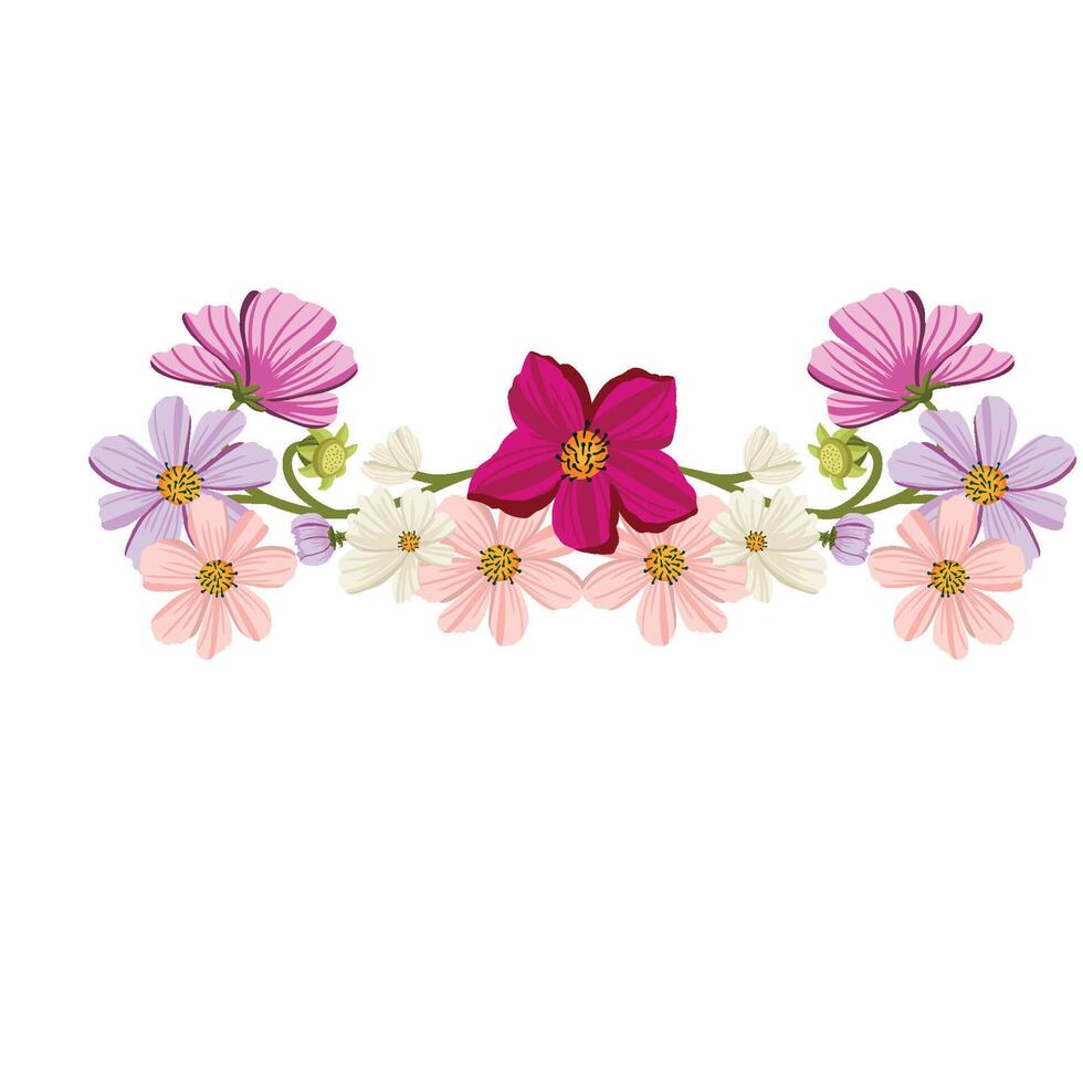 Flower Cosmos arrangement color simple wedding white wild bloom center wild vector