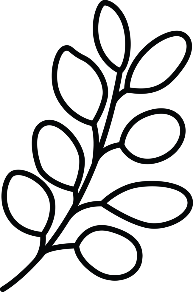 Minimal Botanical Branch with Round Leaves png