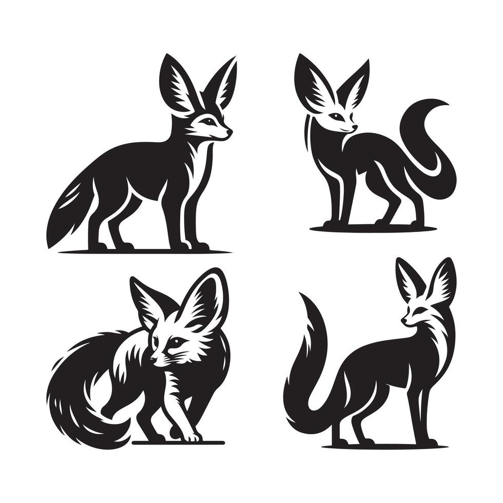 fennec fox illustration vector