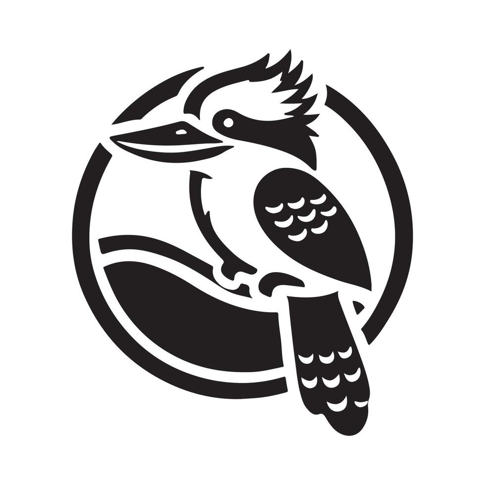kookaburra bird illustration vector