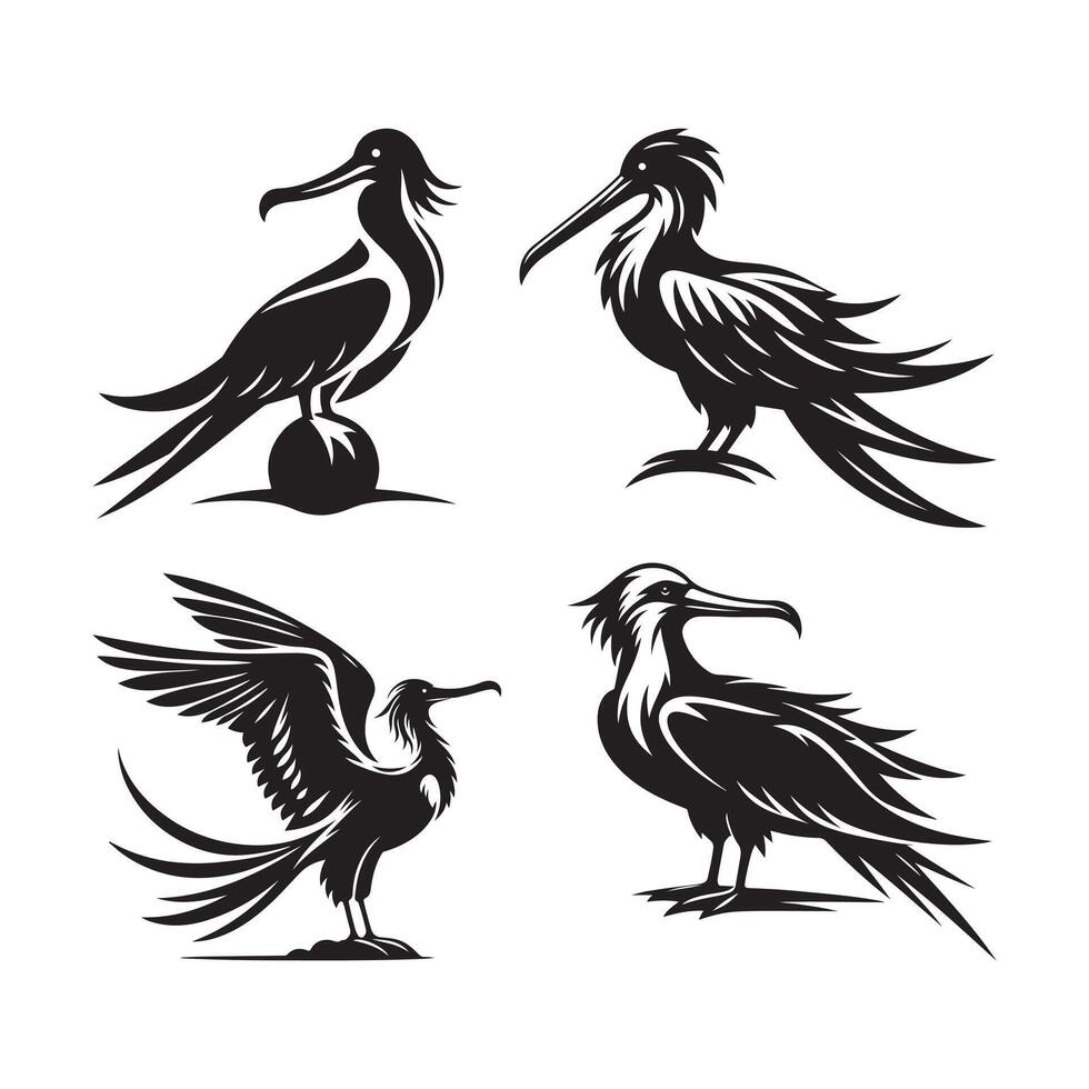 magnificent frigatebird silhouette design vector