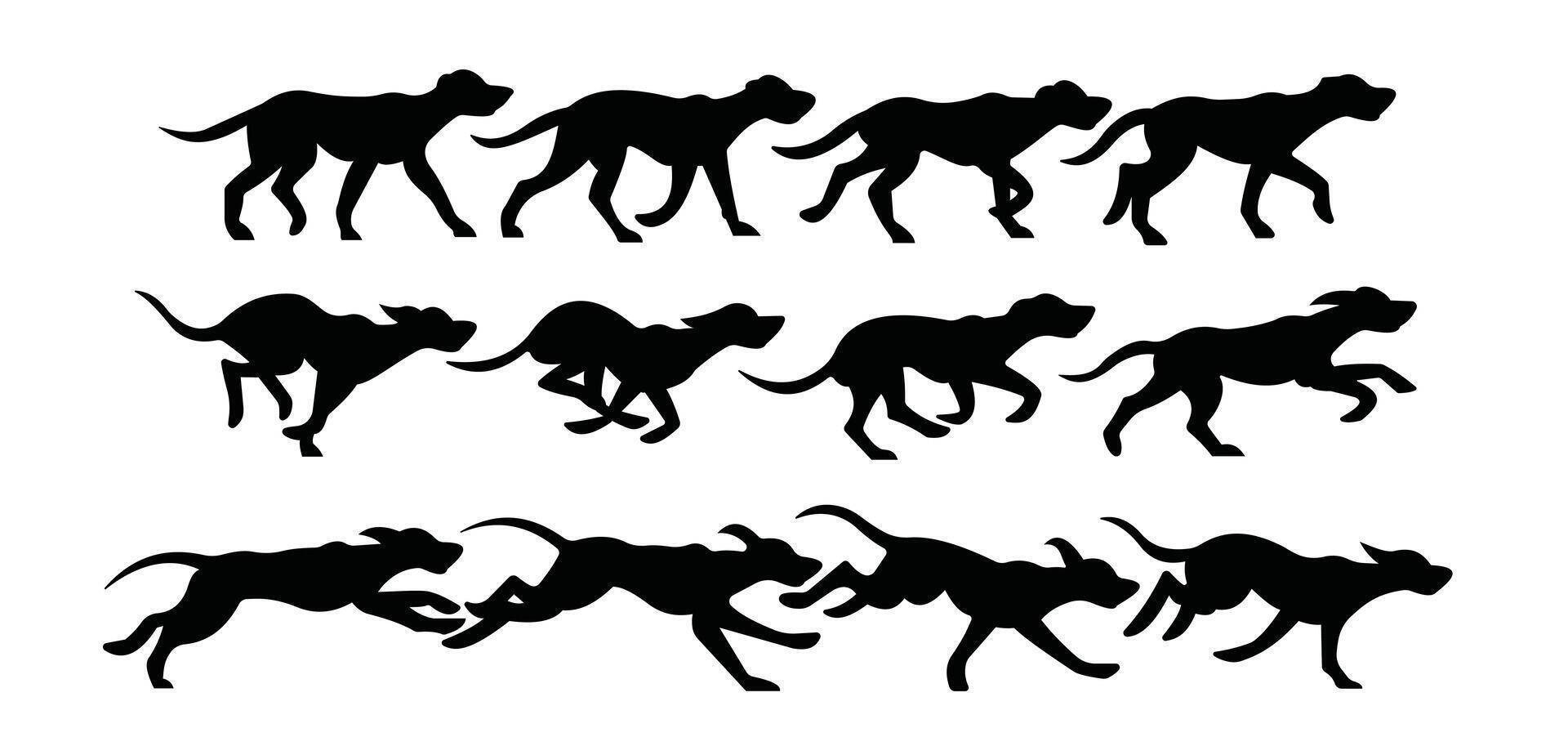 Silhouette set of dogs running in motion design vector